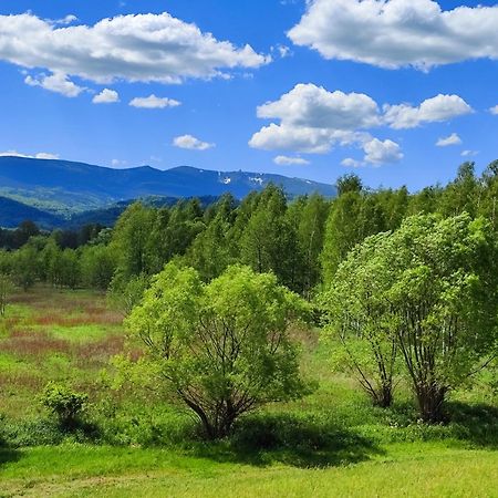 Domki Sniezka Wojcieszyce ภายนอก รูปภาพ